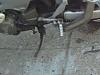 In need of a kickstand-kick-stand.jpg
