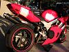 FS Undertail -sss-8.27.10-003.jpg