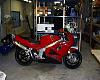 High Mount Hangers-shake-down-1.jpg