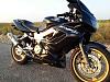 Special 2004 SuperHawk 35k 3500$ OBO-2.jpg