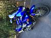 2003 VTR1000F Superhawk FS  - MINT 42XX miles-img_1332.jpg