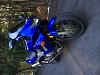 2003 VTR1000F Superhawk FS  - MINT 42XX miles-img_1341.jpg