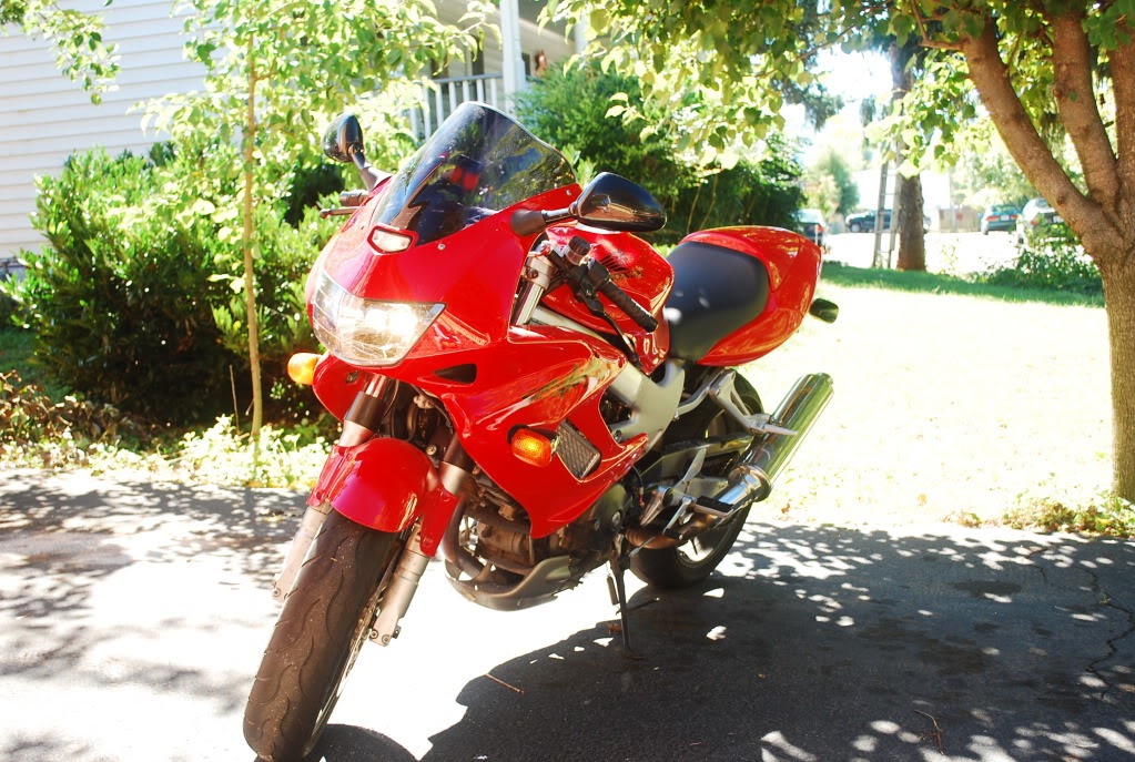 Name:  DSC_4538.jpg
Views: 28
Size:  207.5 KB