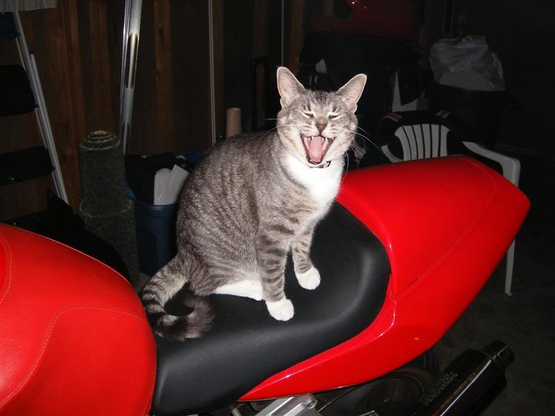 Name:  DSCF1911Medium.jpg
Views: 13
Size:  45.3 KB