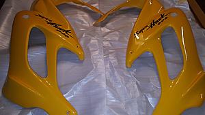 SOLD: Brand New Yellow Fairings Left and Right Fairing-resized_20171204_101556.jpeg