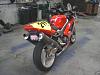 Sharkskin racing rear-tail-4.jpg