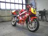 Sharkskin racing rear-tail-5.jpg
