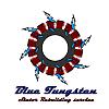 Stators rebuilt-stator_logo.jpg
