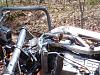 Free 2000 super hawk to good home! Smoking deal!-biike-1.jpg
