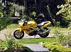 '99 Superhawk for sale, nice!-hawk001_resize.jpg