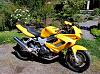 '99 Superhawk for sale, nice!-hawk003_resize.jpg