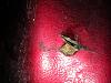 Parts for sale-dscn0953.jpg