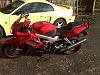 FS: 1998 VTR1000F Fast Red-vtr1000f-110902.jpg