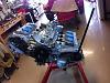 Turbo Cage Build-08-27-11-chain-sprockets-torqued.jpg