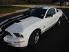 New Toy, Not a SH..I've Been Snake bit-2007_shelby_gt500_cobra_side.jpg