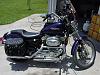 1999 Sporty Chop/Cut/Rebuild-sportster-po-pic.jpg