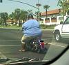 Caption this one.....-need-attgatt.jpg