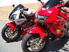 Who wants a low-mileage RC51?-ballerina-bruiser.jpg