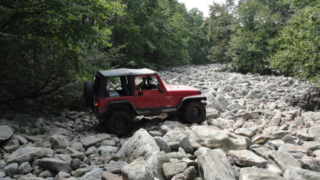 Name:  DSC05828.jpg
Views: 27
Size:  130.1 KB