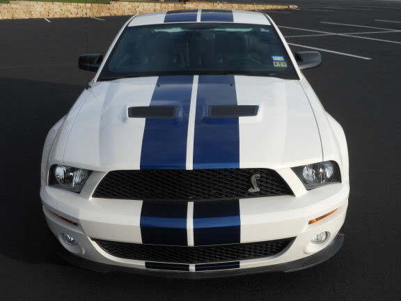 Name:  2007_Shelby_GT500_Cobra_front-1.jpg
Views: 81
Size:  29.3 KB