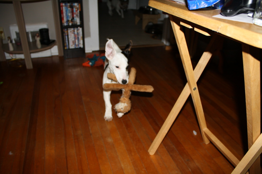 Name:  IMG_7969.jpg
Views: 29
Size:  137.5 KB