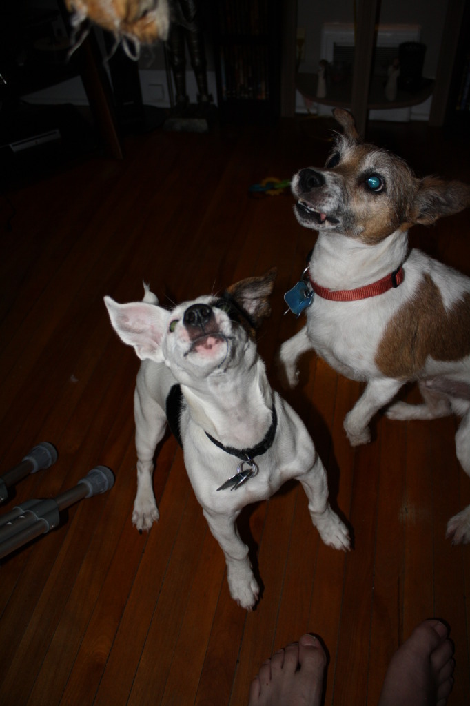 Name:  IMG_7964.jpg
Views: 30
Size:  129.5 KB