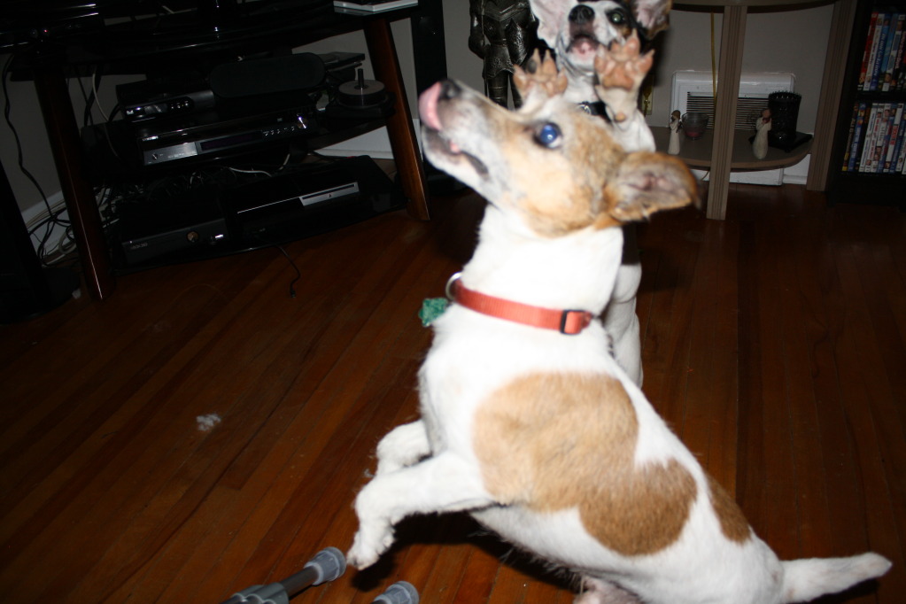 Name:  IMG_7962.jpg
Views: 30
Size:  136.1 KB