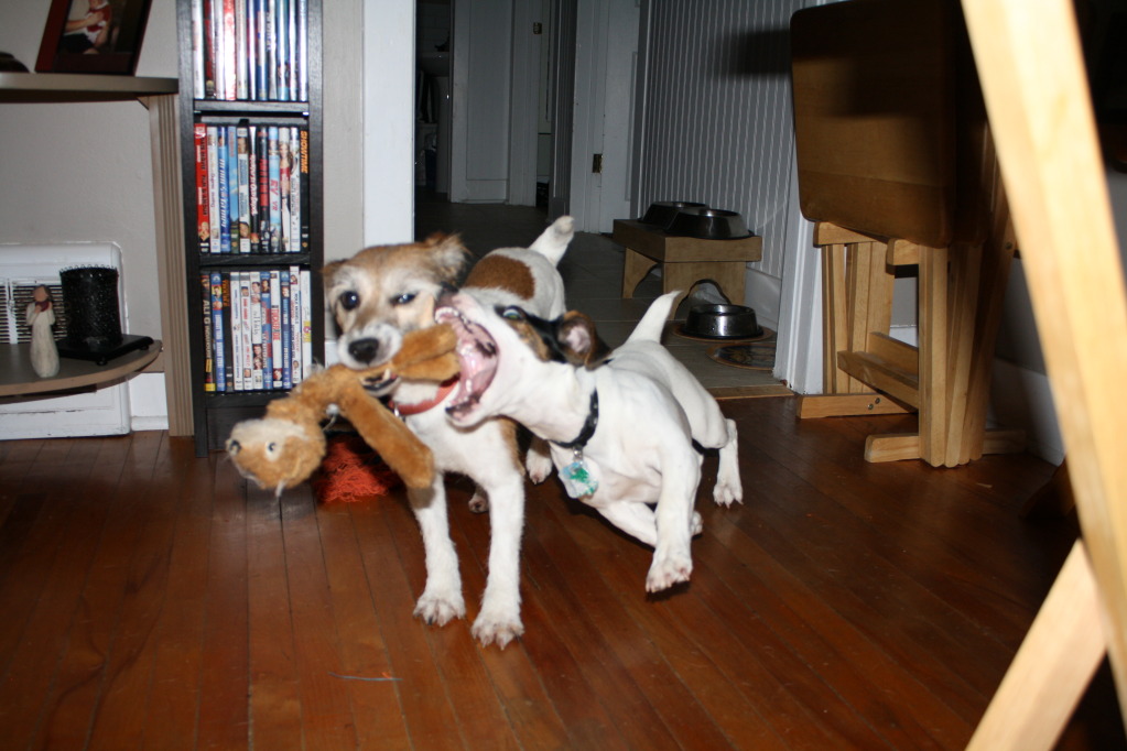 Name:  IMG_7972.jpg
Views: 31
Size:  166.3 KB