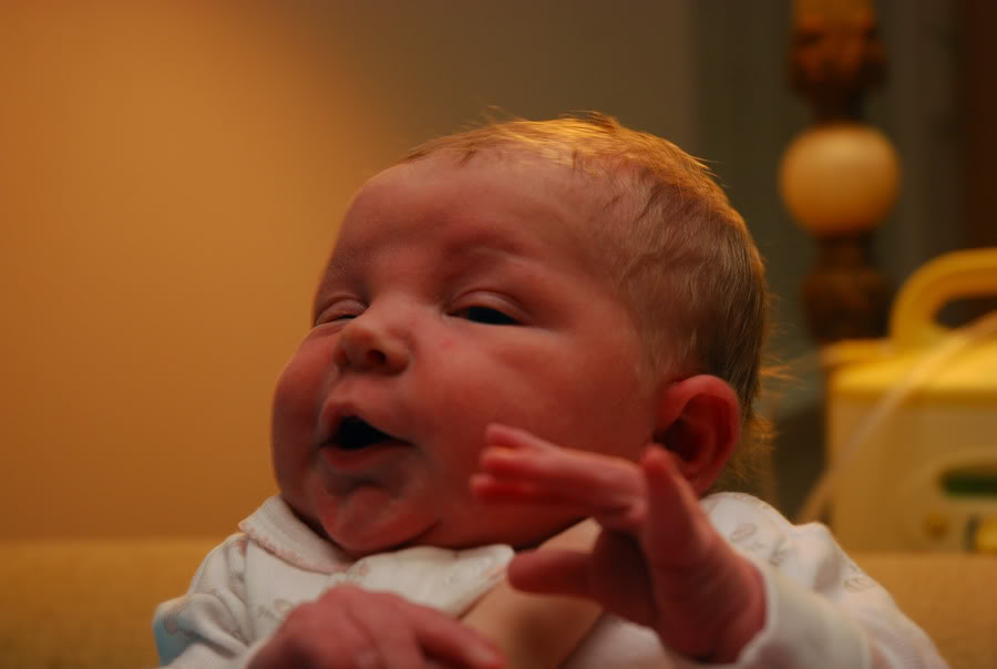 Name:  kensleyfunny4.jpg
Views: 17
Size:  42.9 KB