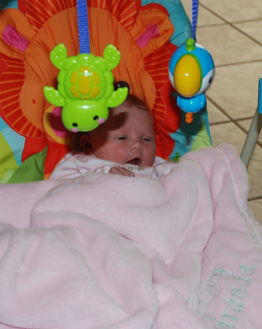 Name:  kensleyswing3.jpg
Views: 19
Size:  100.0 KB