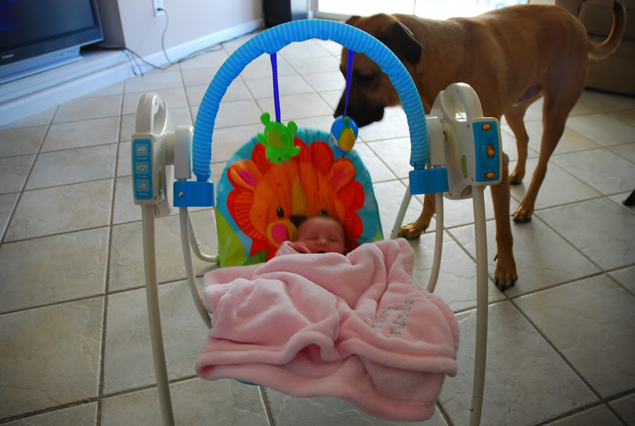 Name:  kensleyswing4.jpg
Views: 16
Size:  83.3 KB