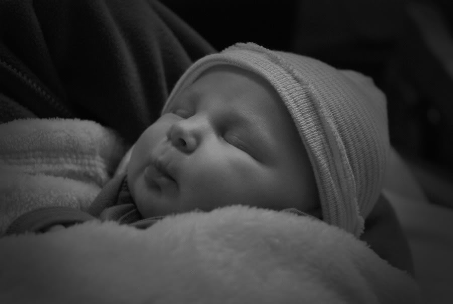 Name:  kensleyblackandwhite.jpg
Views: 27
Size:  38.5 KB