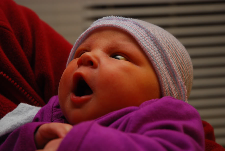 Name:  kensleysurprised.jpg
Views: 28
Size:  67.2 KB