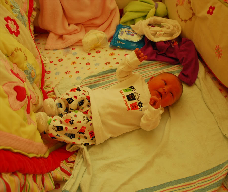 Name:  kensleyhalloweenoutfit2.jpg
Views: 26
Size:  116.0 KB