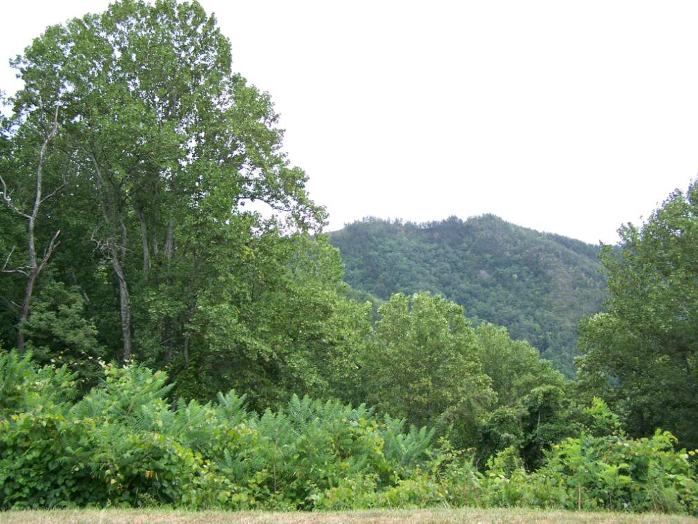 Name:  KLR8-23006.jpg
Views: 17
Size:  152.2 KB