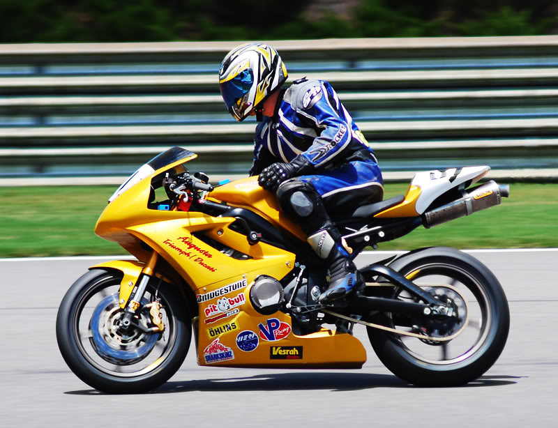 Name:  yellow675.jpg
Views: 20
Size:  112.3 KB