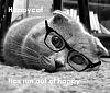Pictures I have Collected-happycatout.jpg