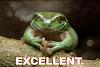 Pictures I have Collected-excellent_001.jpg