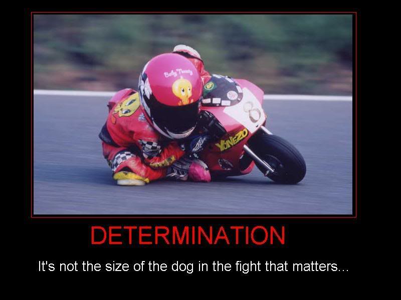 Name:  determination.jpg
Views: 16
Size:  45.0 KB