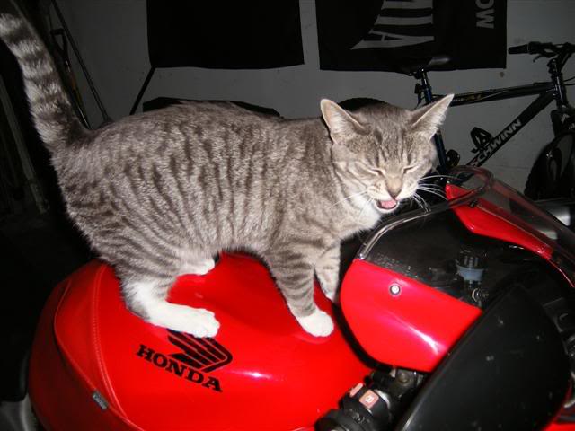 Name:  DSCF1173Small.jpg
Views: 20
Size:  40.2 KB