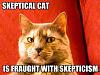 Did the U.S. Gov. have a hand in 9/11?-skeptic-cat.jpg