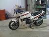 Post Whoring Newbie Thread-moto_0017.jpg
