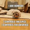 Post Whoring Newbie Thread-dunecat.jpg
