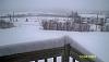 easter bunny-100_0951.jpg