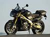 really need some help and opinions-tourano-gold.jpg