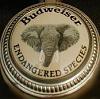 ABC's "If I only had a gun." OMG what a crock!-budweiser-elephant.jpg