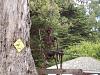 I'm Gonna miss him - Skeleton statue on Stage Road-s2.jpg