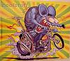 Forum issue, crashrats avatar is offensive and must be replaced. STAT!-bigdaddyratfinkmotorcycle%5B1%5D.jpg