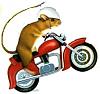 Forum issue, crashrats avatar is offensive and must be replaced. STAT!-mouse-mcycl%5B1%5D.jpg