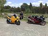 anyone else own more than 1 bike?-zx14-daytona.jpg